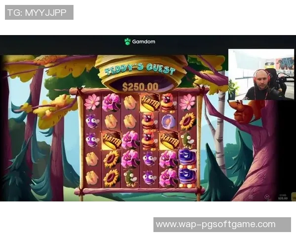 pg电子哪个游戏好玩-探索PG电子，寻找哪个游戏最好玩-pg电子哪个游戏好玩