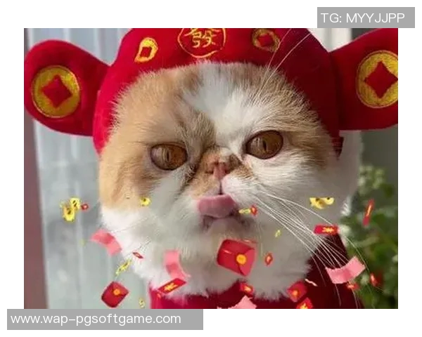 pg电子招财猫爆奖视频-揭秘，PG电子招财猫爆奖视频盛况及其背后秘密-pg电子招财猫爆奖视频